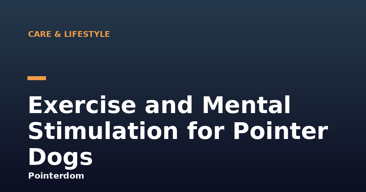 Exercise and Mental Stimulation for Pointer Dogs